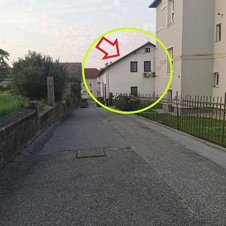Rooms Hiša Divino Ptuj Buitenkant foto